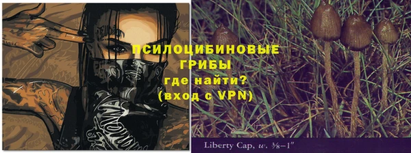 стаф Алексеевка