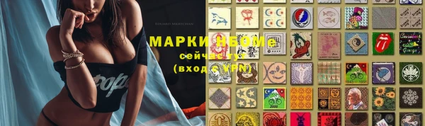 стаф Алексеевка